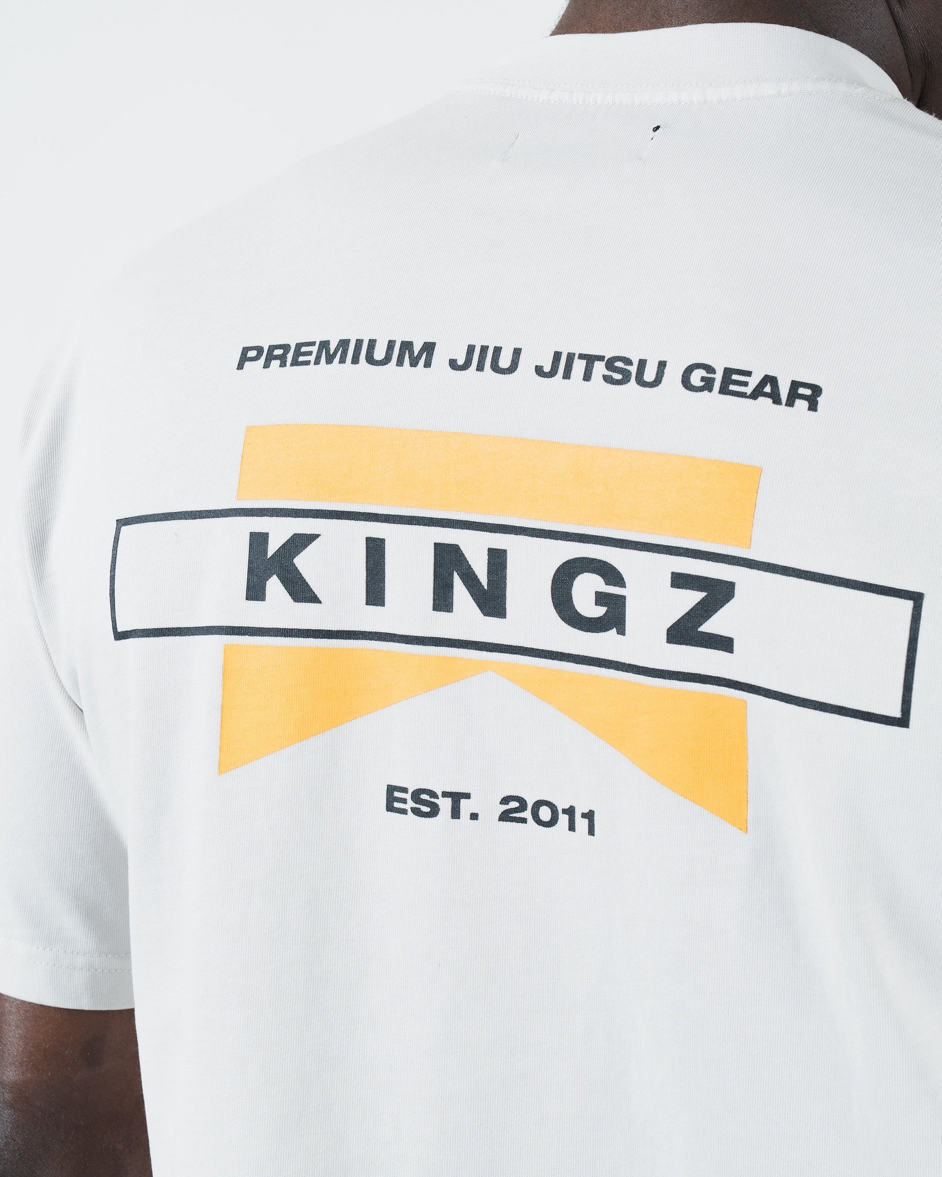 Flag Tee from Kingz