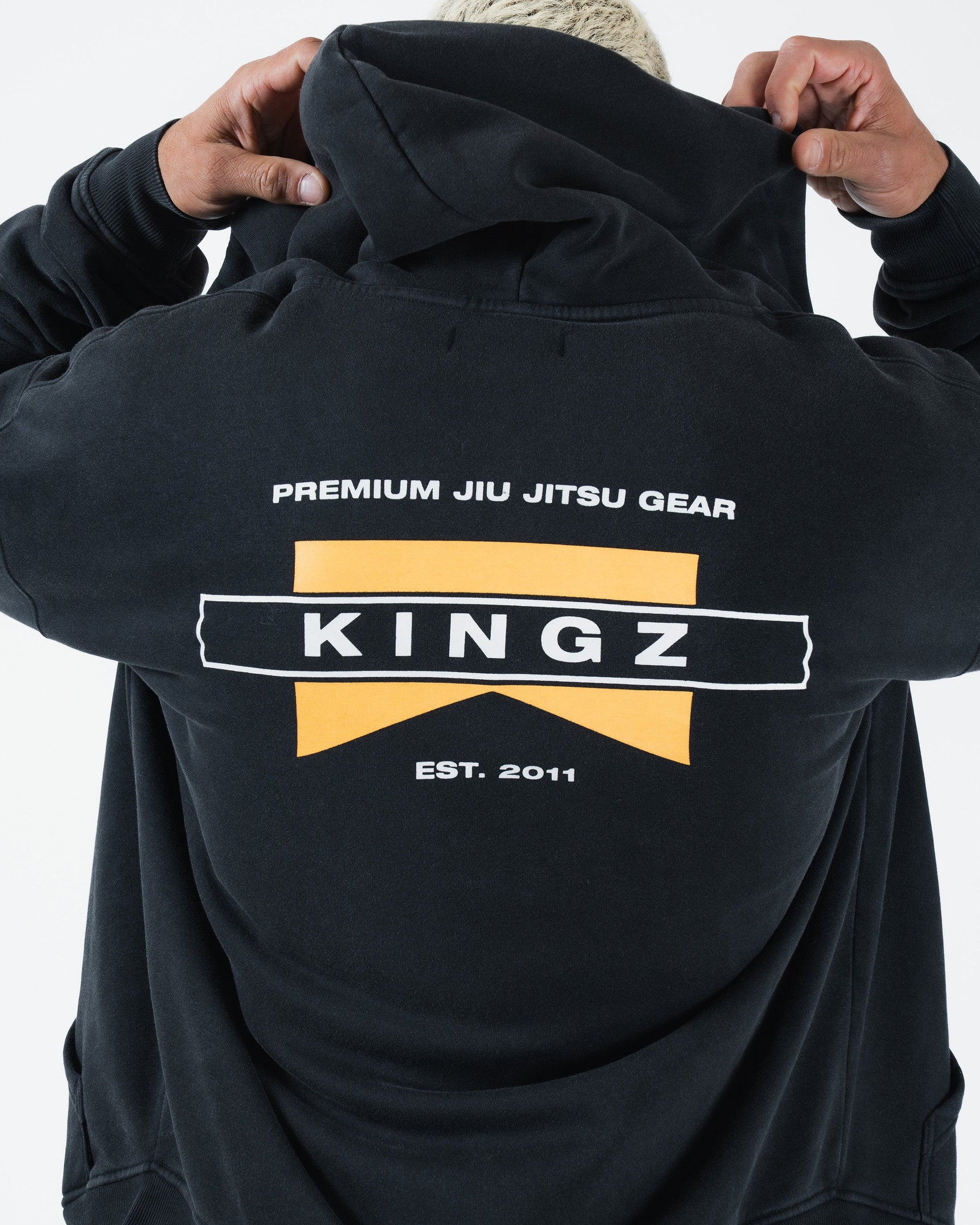 Flag Zip Up Hoodie from Kingz