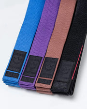 Absolute Premium Belt from Kingz